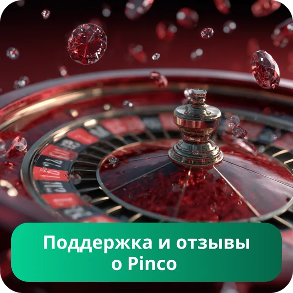 Поддержка и отзывы о Pinco